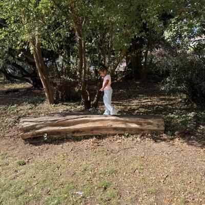 Image from Waheeda