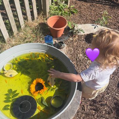 Image from Lucy 