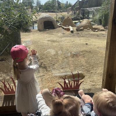 Image from Heather