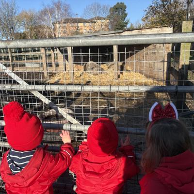 Image from Auntie Annies