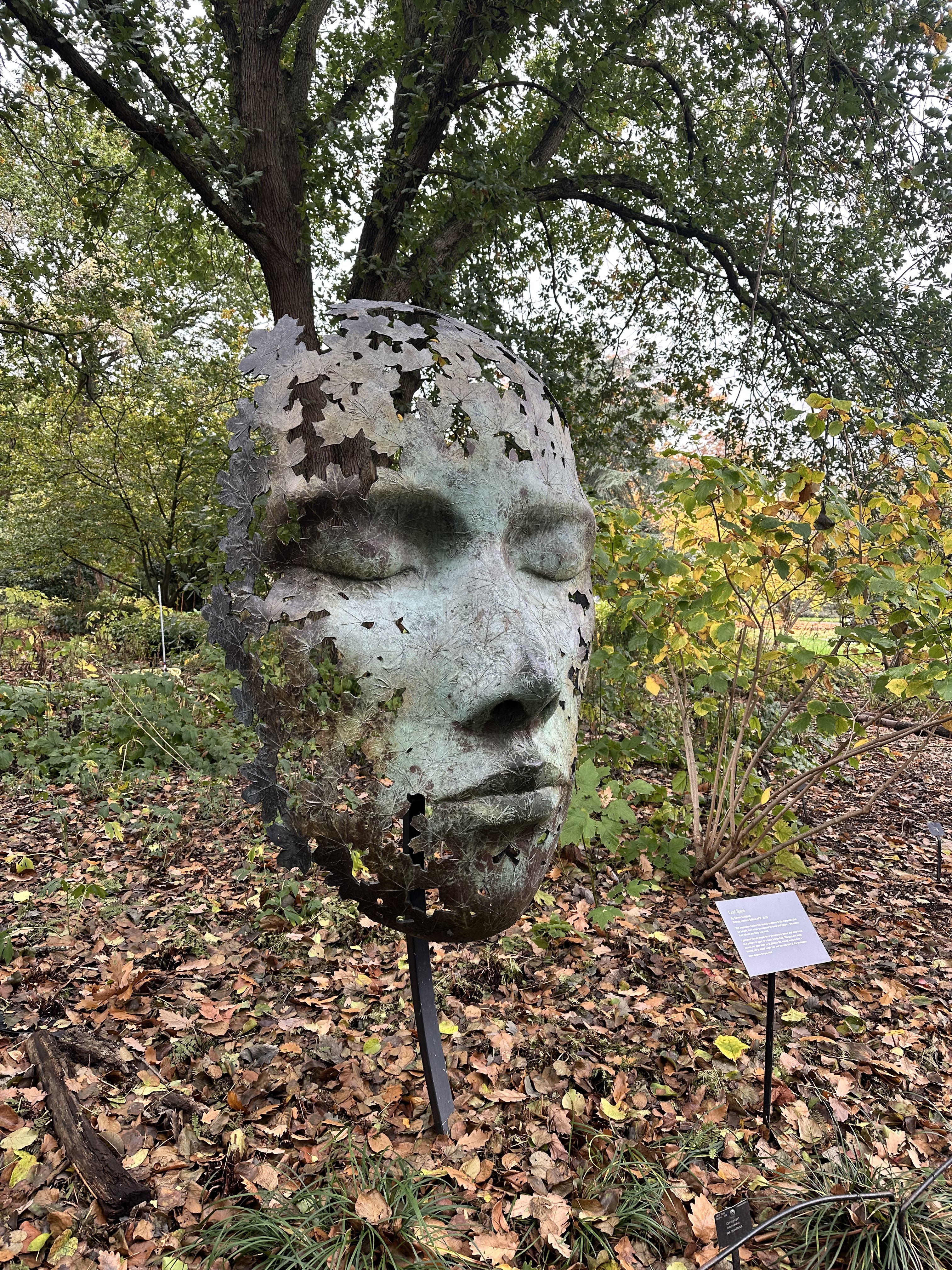 Image from Wendys childminding