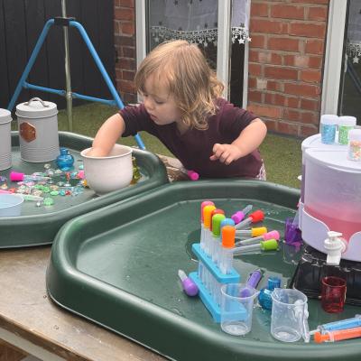 Image from HippoHol