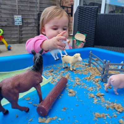 Image from Amber