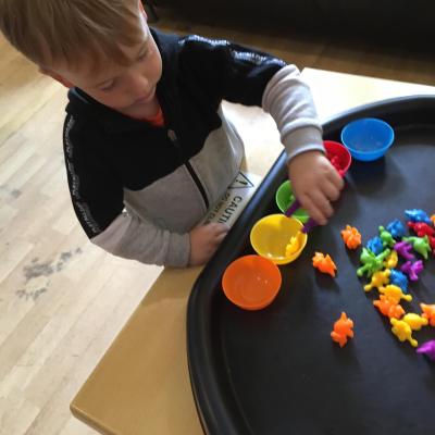 Image from Rose Garden Nursery