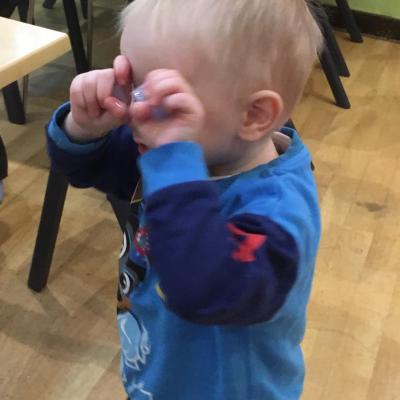 Image from Rose Garden Nursery