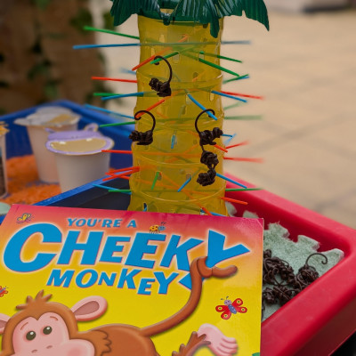 Image from Raquel Silva