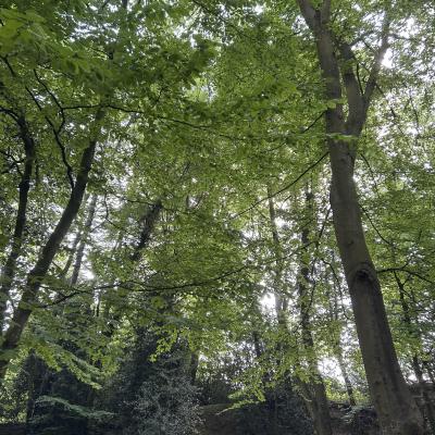 Image from hillfarm