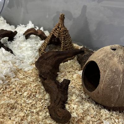 Image from Kiddy Care Nursery