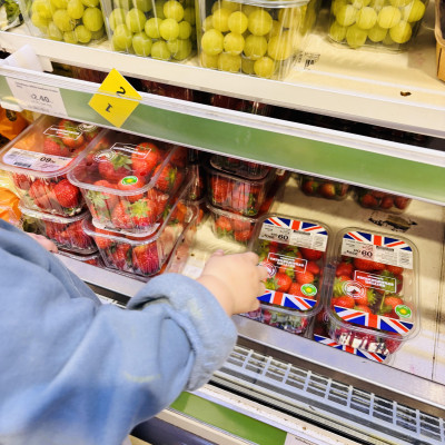 Image from Little Butterflies