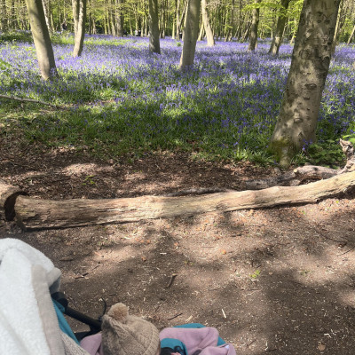 Image from Wanstead Childminder