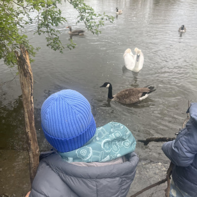 Image from Wanstead Childminder