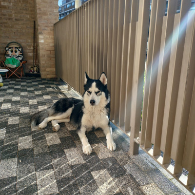 Image from Rebecca Pink