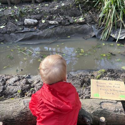 Image from Auntie Annies