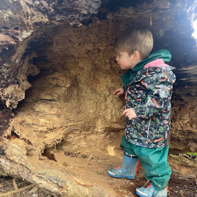 Image from Butterfly Childcare