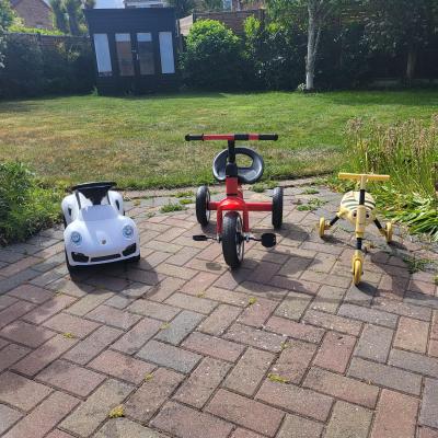 Image from Gemma