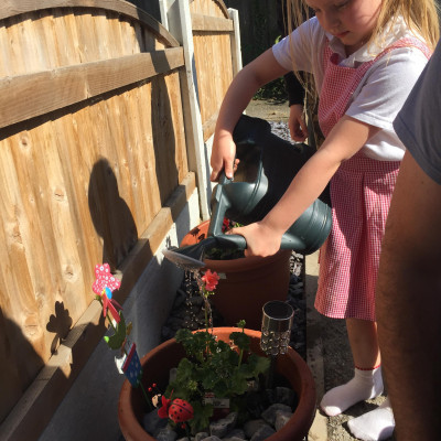 Image from Shells House 