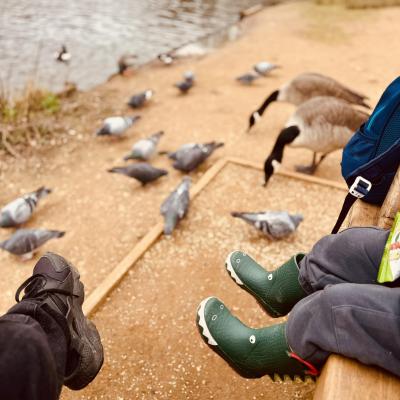 Image from Prisca Home Nursery