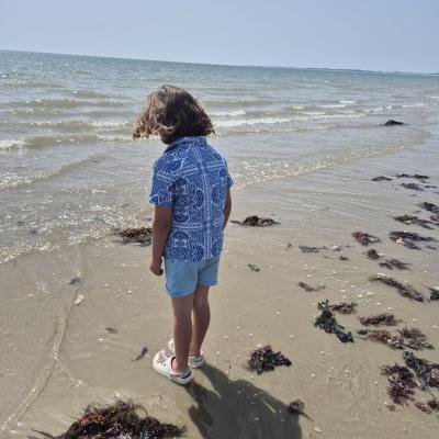 Image from kelly