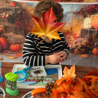 Image from First Steps Learning