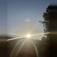 Nannyf