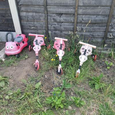 Image from Nicola