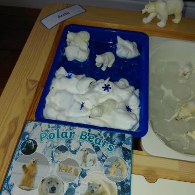 Image from Andrea Reed