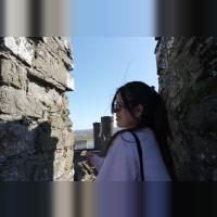 Lin